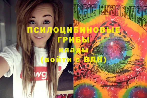 меф Карпинск