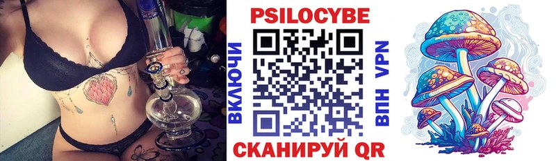 Купить где  Велиж  Галлюциногенные грибы Magic Shrooms 